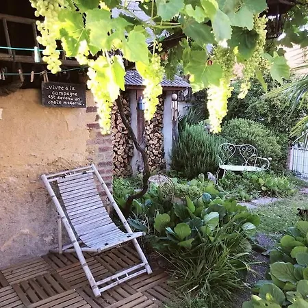 Le Jardin Yuccas - Cosy In The Loir& Loire Valleys *