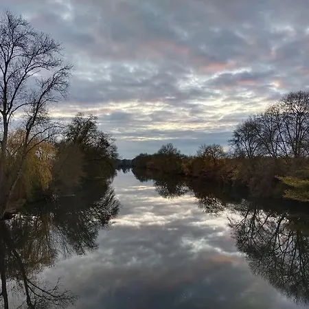 Le Jardin Yuccas - Cosy In The Loir& Loire Valleys