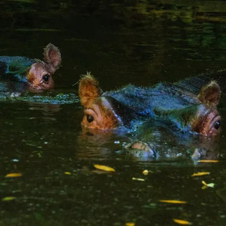 公寓 Le Jardin Yuccas - Cosy In The Loir& Loire Valleys *