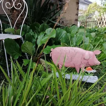 Le Jardin Yuccas - Cosy In The Loir& Loire Valleys * La Chapelle-aux-Choux