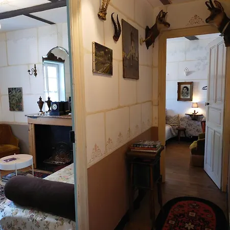 Le Jardin Yuccas - Cosy In The Loir& Loire Valleys * La Chapelle-aux-Choux