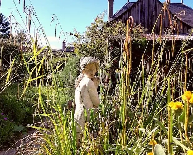 Le Jardin Yuccas - Cosy In The Loir& Loire Valleys * La Chapelle-aux-Choux