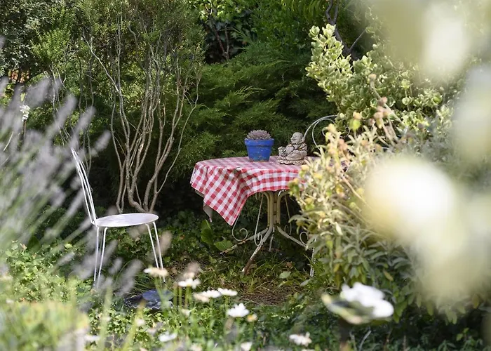 Le Jardin Yuccas - Cosy In The Loir& Loire Valleys Appartement
