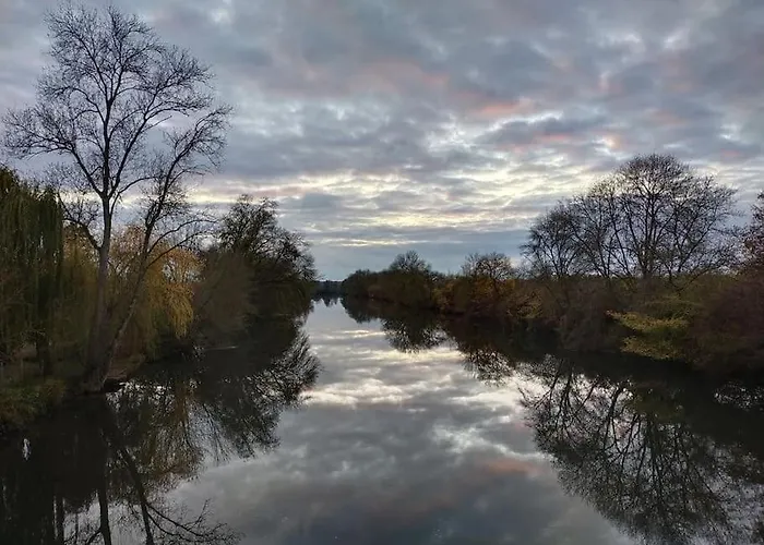 Le Jardin Yuccas - Cosy In The Loir& Loire Valleys