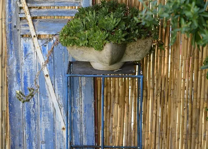 Appartement Le Jardin Yuccas - Cosy In The Loir& Loire Valleys La Chapelle-aux-Choux