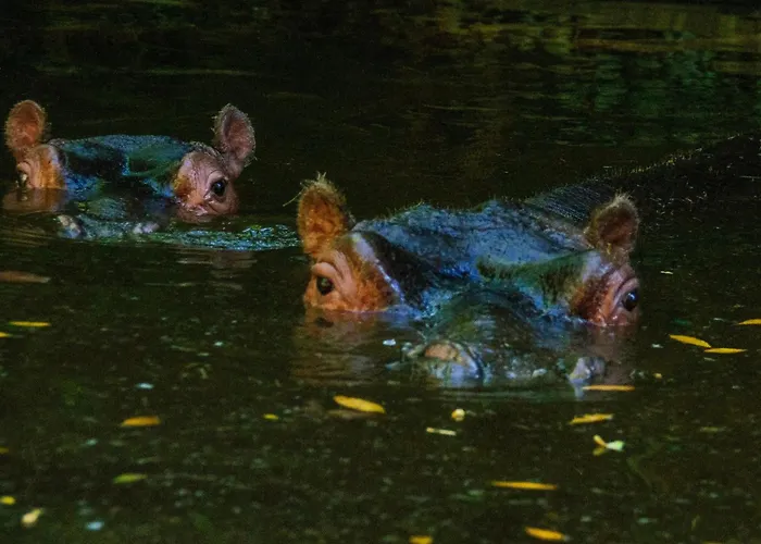 Appartement Le Jardin Yuccas - Cosy In The Loir& Loire Valleys *