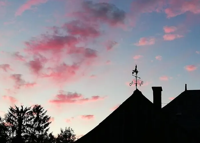 Appartement Le Jardin Yuccas - Cosy In The Loir& Loire Valleys