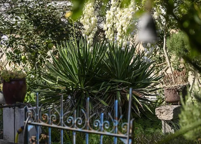 Le Jardin Yuccas - Cosy In The Loir& Loire Valleys *