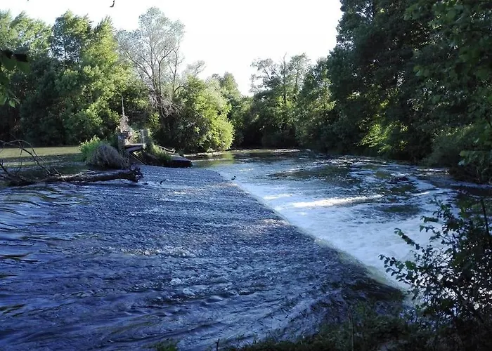 Le Jardin Yuccas - Cosy In The Loir& Loire Valleys Appartement La Chapelle-aux-Choux