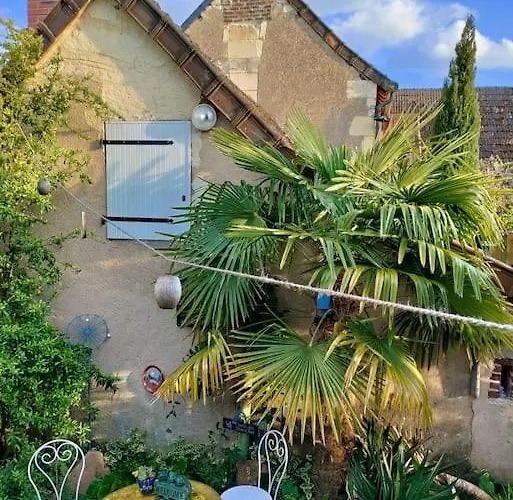 Le Jardin Yuccas - Cosy In The Loir& Loire Valleys La Chapelle-aux-Choux