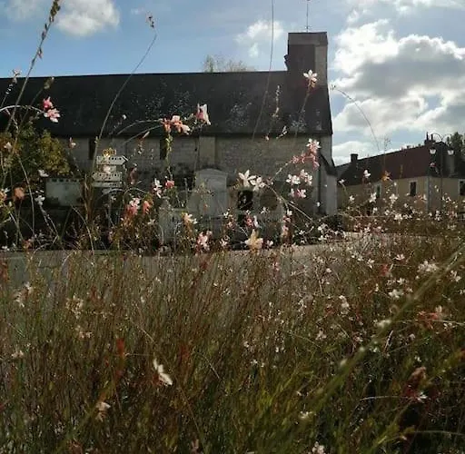 Le Jardin Yuccas - Cosy In The Loir& Loire Valleys *