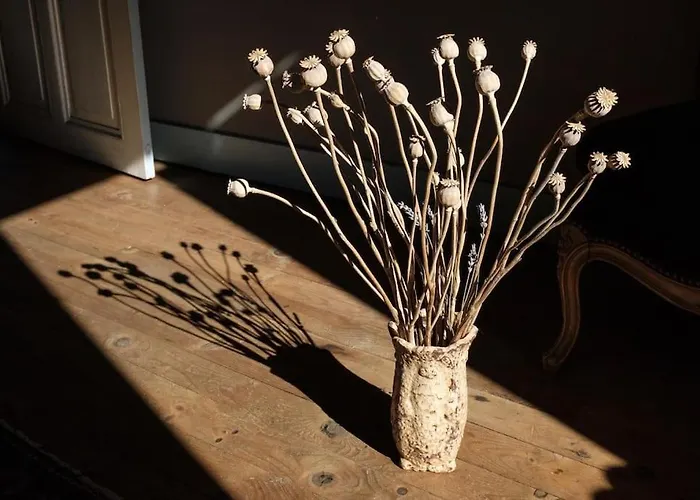 Le Jardin Yuccas - Cosy In The Loir& Loire Valleys Appartement La Chapelle-aux-Choux