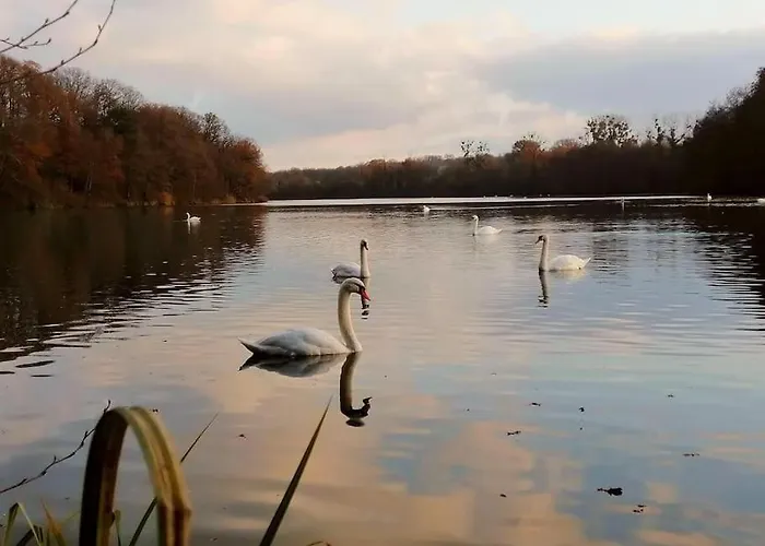 Appartement Le Jardin Yuccas - Cosy In The Loir& Loire Valleys La Chapelle-aux-Choux