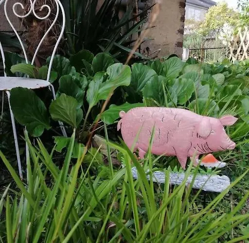 Le Jardin Yuccas - Cosy In The Loir& Loire Valleys * La Chapelle-aux-Choux