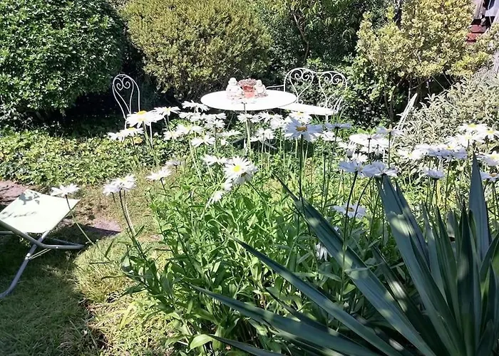 Le Jardin Yuccas - Cosy In The Loir& Loire Valleys * La Chapelle-aux-Choux