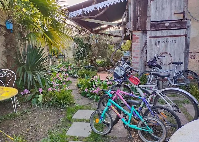 Le Jardin Yuccas - Cosy In The Loir& Loire Valleys