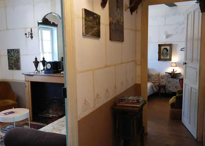 Le Jardin Yuccas - Cosy In The Loir& Loire Valleys * La Chapelle-aux-Choux