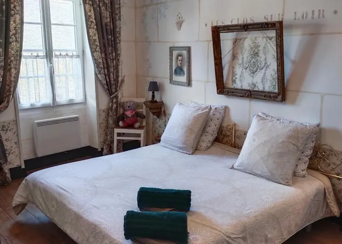 Le Jardin Yuccas - Cosy In The Loir& Loire Valleys * La Chapelle-aux-Choux