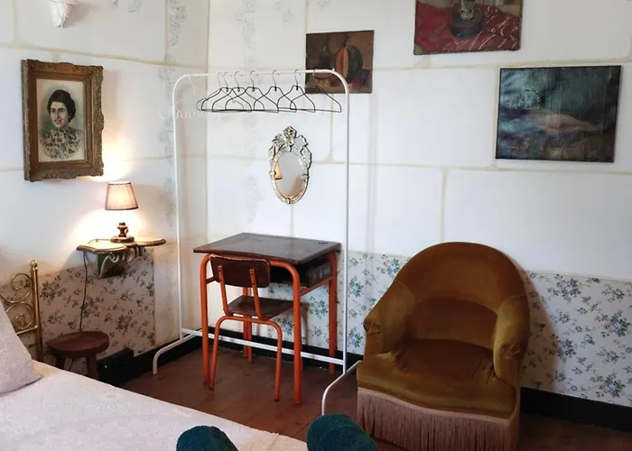 Le Jardin Yuccas - Cosy In The Loir& Loire Valleys